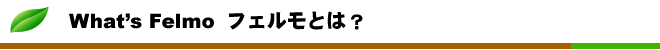 What's Felmo フェルモとは？